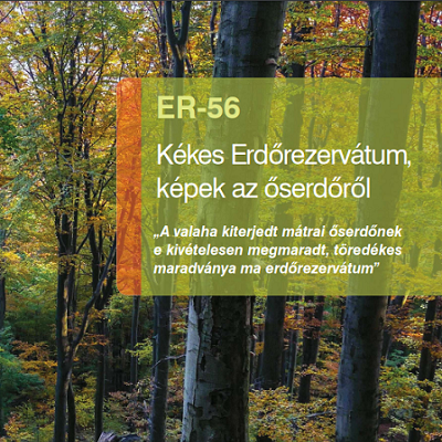 Kékes Erdőrezervátum, képek az őserdőről ...
