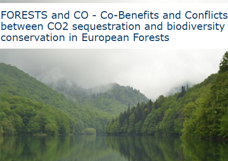FORESTS and CO
