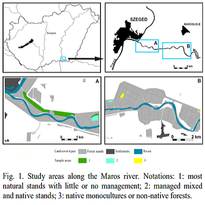 Carbon sequestration of floodplain forests
