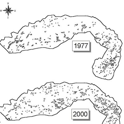 Second-phase and New Mapping Studies
