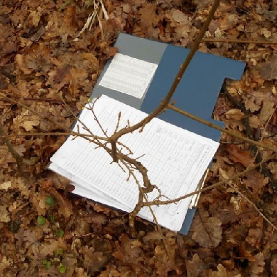 Az újulati és cserjeszint átalakulása vadkizárást követően