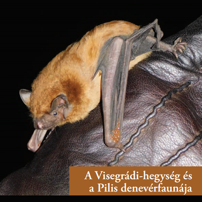 A Viegrádi-hg és a Pilis denevréfaunája