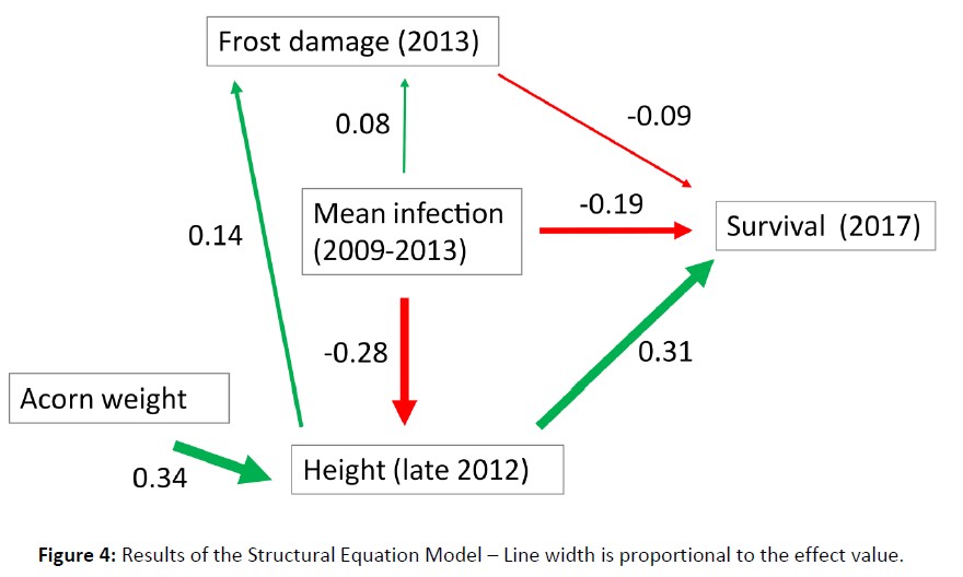 Effect matrix ...