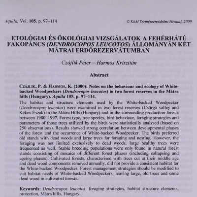 Etológiai és ökológiai vizsgálatok a fehérhátú harkály ...