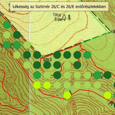 Burok-völgy FAÁSZ dolgozat