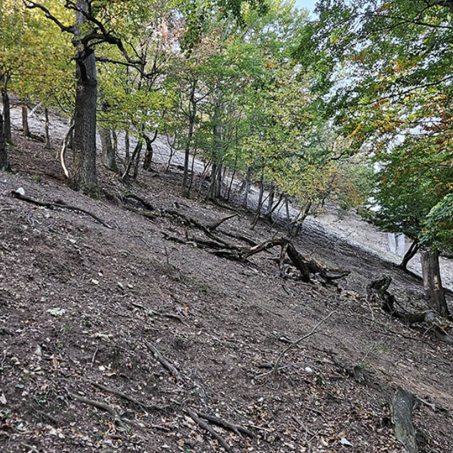 Erózió a Vértesben