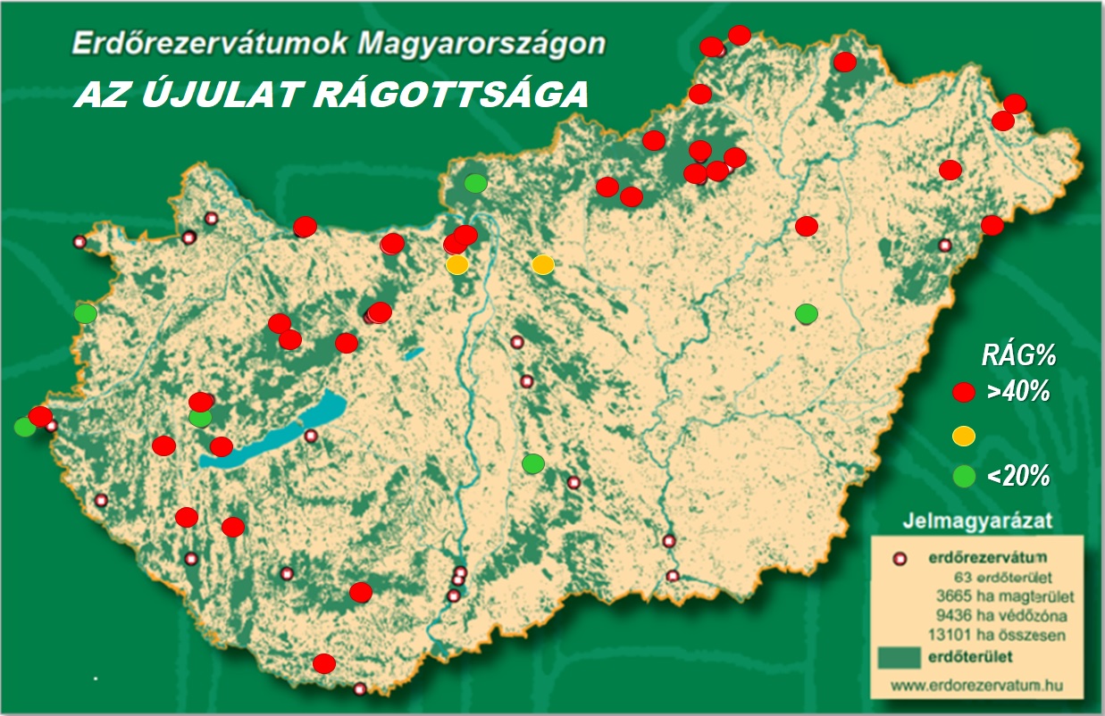 Hajtáscsúcs rágottság az erdőrezervátumokban