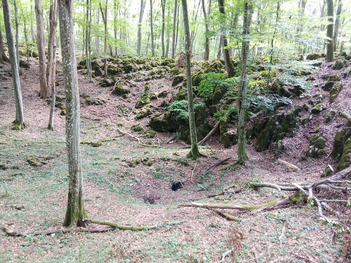 Kisebb víznyelők egy töbör alján