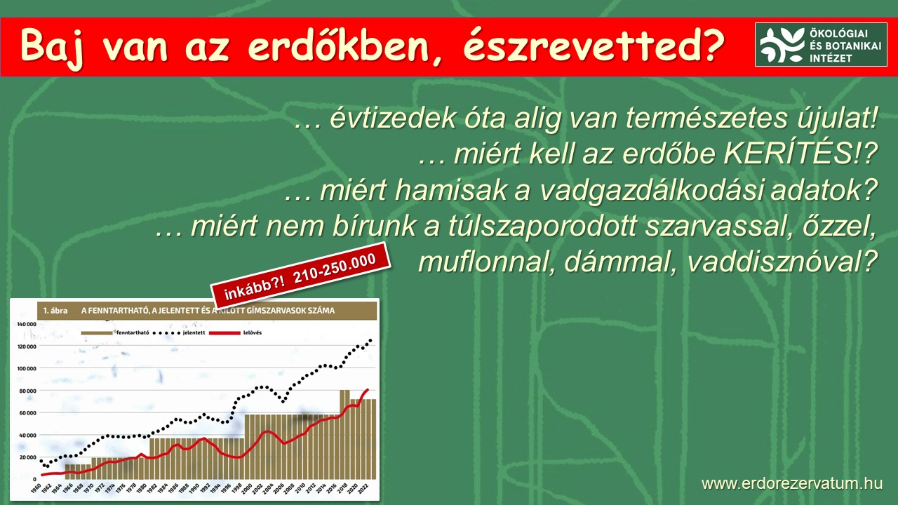 Mi a baj az erdőkben?