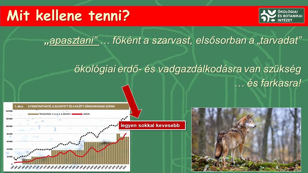 Mit kellene tenni?