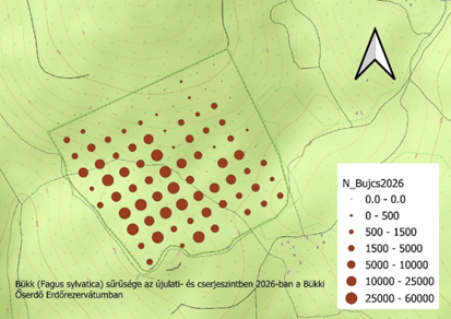 B újulat 2026-ban