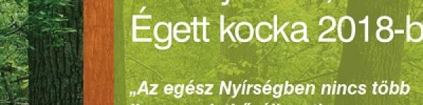 A Fényie-erdő, Égett kocka 2018-ban