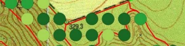 Burok-völgy FAÁSZ dolgozat