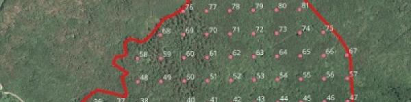 Somhegy ER - ERDŐ+h+á+l+ó