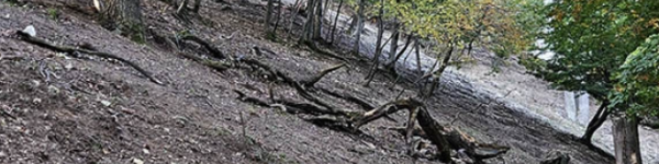 Erózió a Vértesben