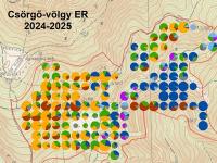 Elegyarány-mintázat
