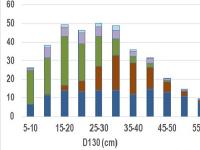 Fafajok halmozott átmérőeloszlása