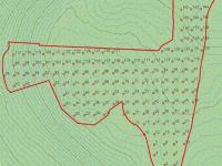 Eötvös & Illés (2025): A Fehér-sziklák Erdőrezervátum (ER-44) egységes alapfelmérése 2024-ben