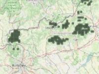 A fehárhátú előfordulása Magyarországon