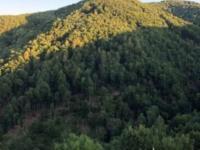 Kutatási jelentés a Pogány-Rózsás ER felméréséről